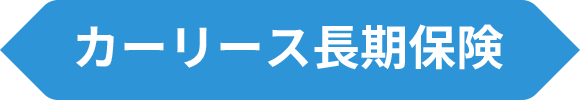カーリース長期保険